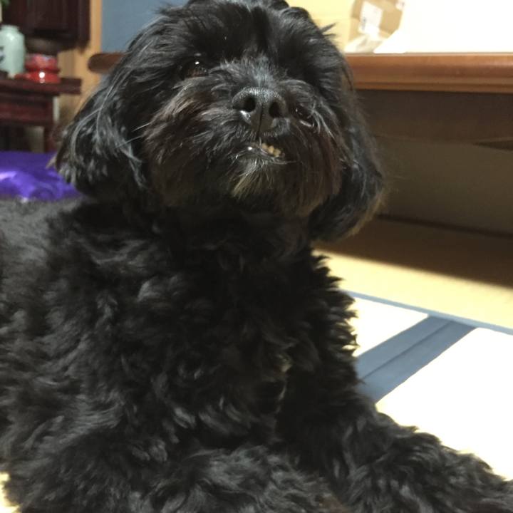 Df929a9b 1e45 4076 b29b 91213dea95e6