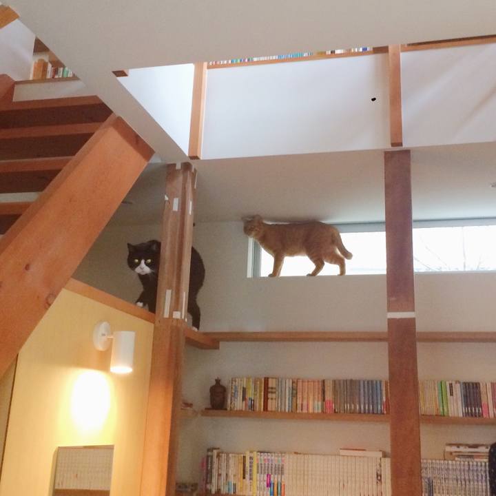 Df929efc f5a6 4d26 b3df 7c28e3aad9b2