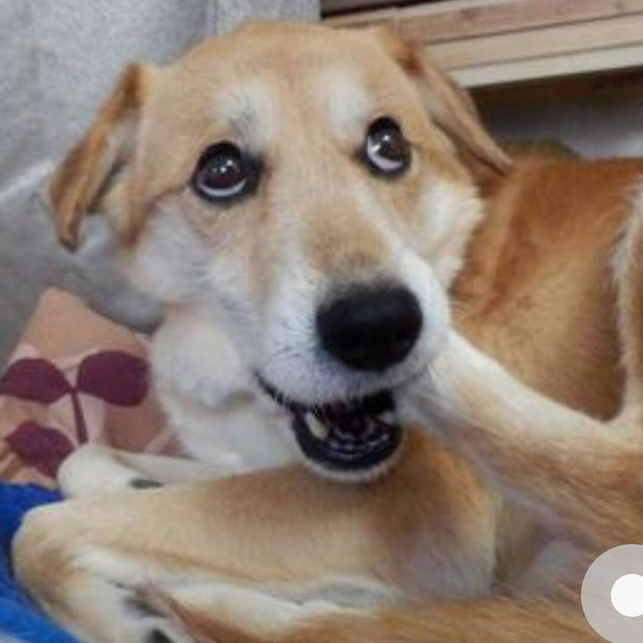 Df92c356 a0a9 430d 944d 2a098757234e