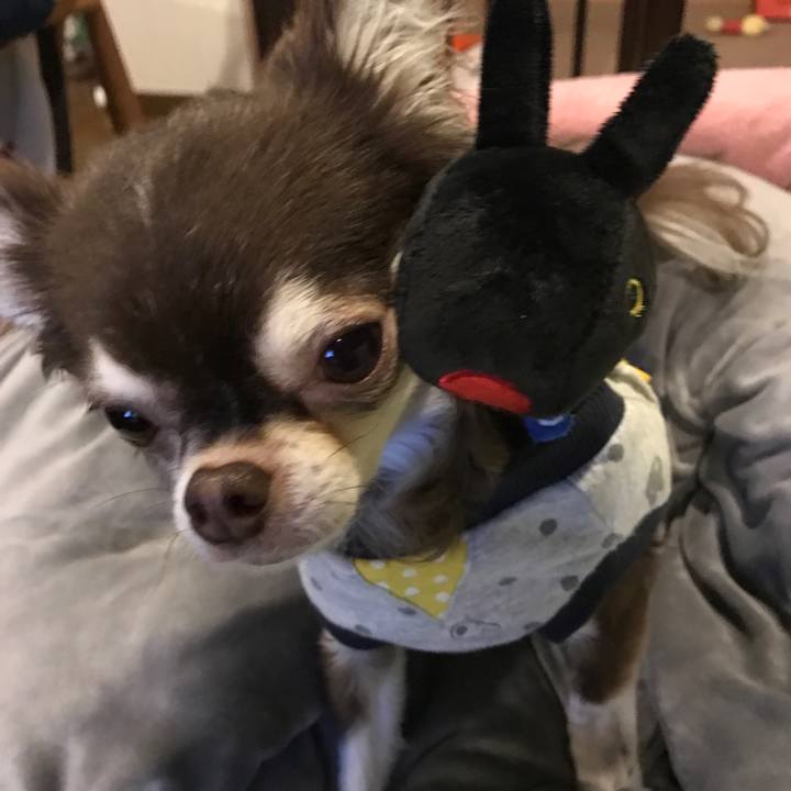 Df92f669 c250 4e8a b579 6180a34ab6cc