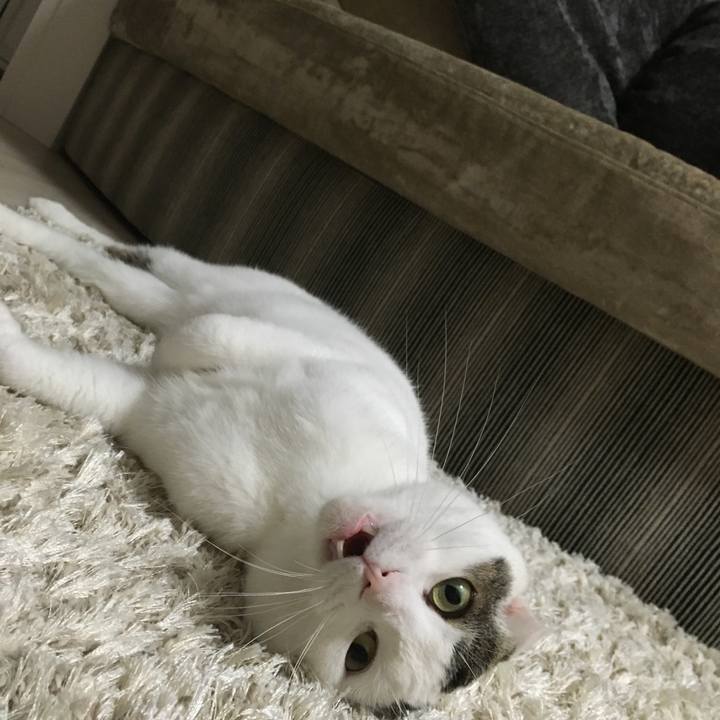 Df92f736 db34 4538 91e5 a43aff9a636f