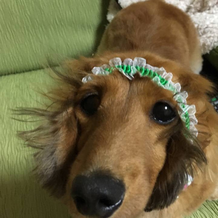 Df934cfc 5d79 458d 8341 08b5e117af40