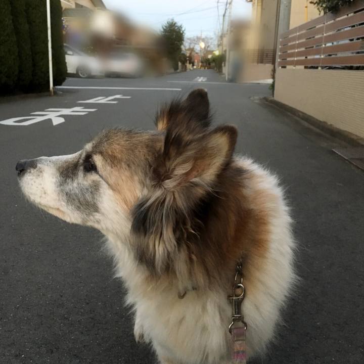 Df940a82 eea4 4884 9352 2f1713955afa