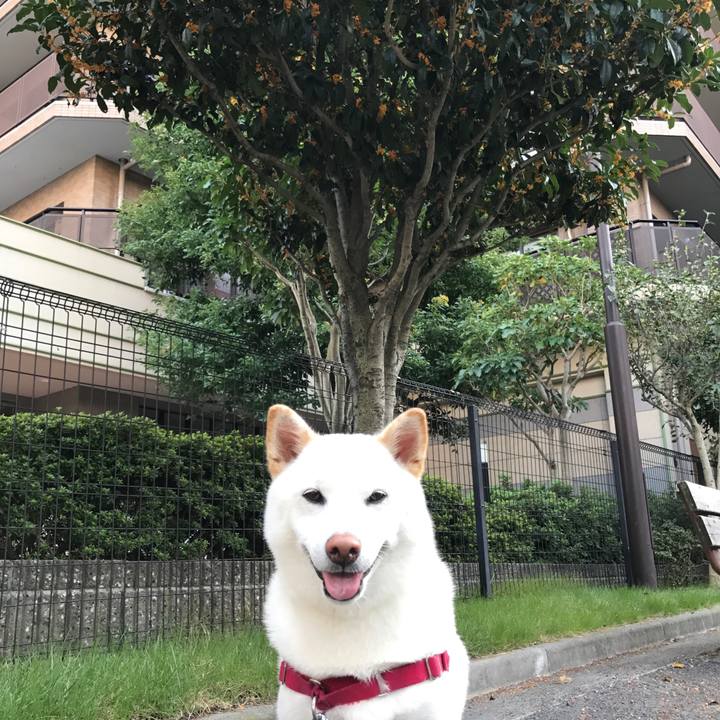 Df94f841 ac95 4cdc aee1 7632a42a4e19