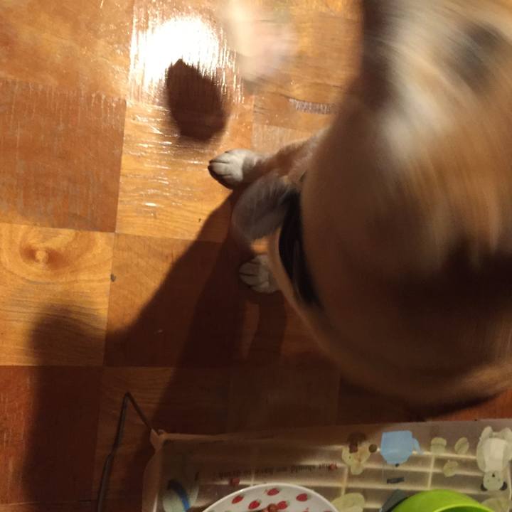 Df94fb4c 0c20 404c b7e4 87cb0bd3117d