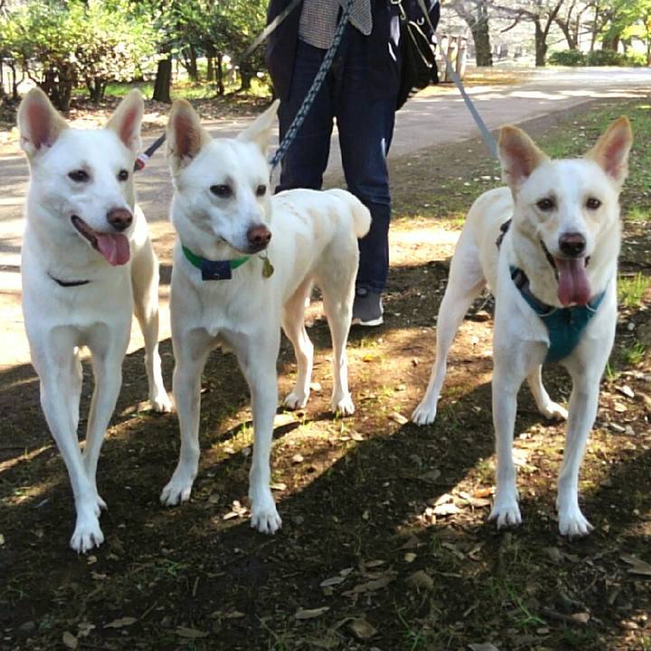 Df9651cf 948b 4d3d a7bc 8ed6984b6c6f