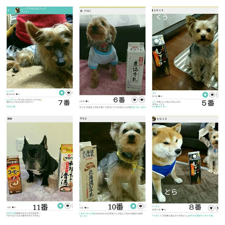 Df9658c0 7905 4e43 ae29 35d3d36ffaea