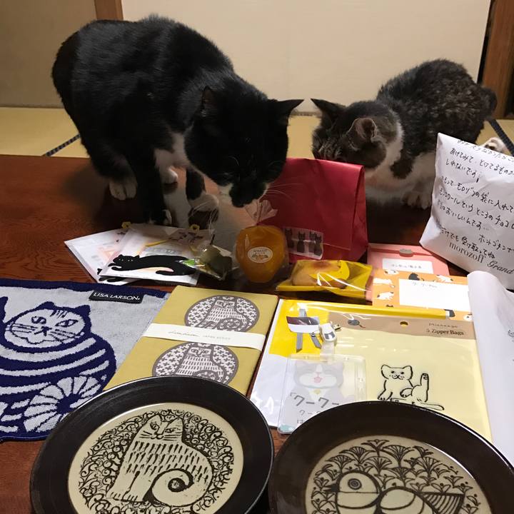 Df96b4f4 80b2 4fb1 8e71 1e69890af8dd