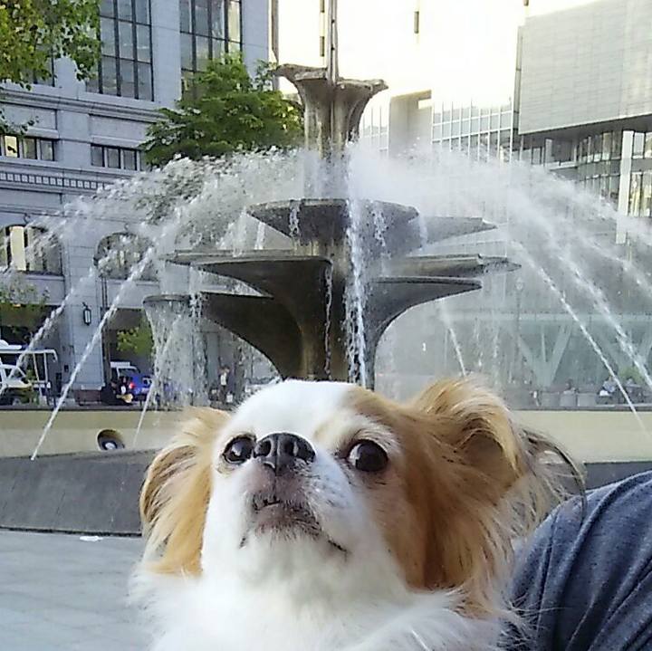 Df96cd2a d820 48f2 9d01 1d971d64f0a3