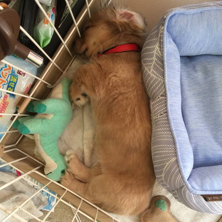 Df96deae decc 4779 8ca5 5bdcdfba8c42