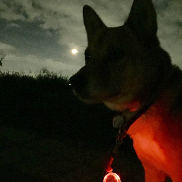 Df974ecd 4e6d 4efc 83c9 75ef5f90d5f7