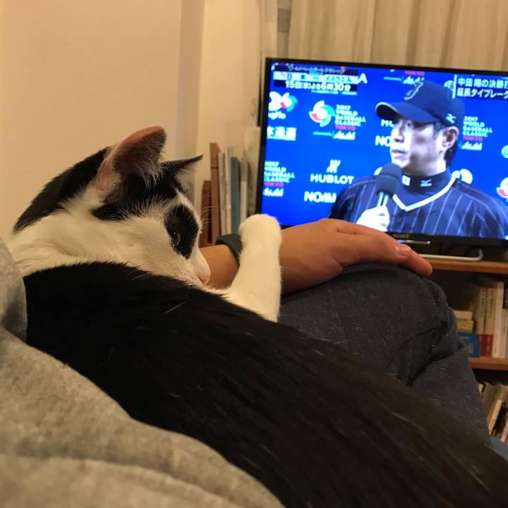 Df979a49 4b6f 4654 882c 01121f062290