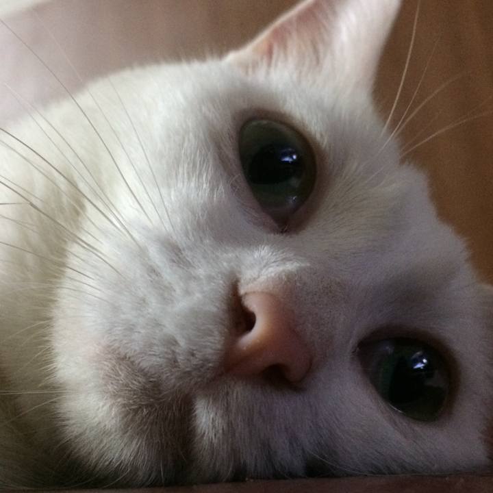 Df97bf85 e03e 4ce4 aecb f5c45a399fd7