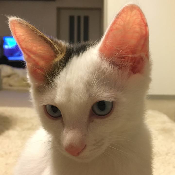 Df981d80 3560 428a a94c 10a0a0889965