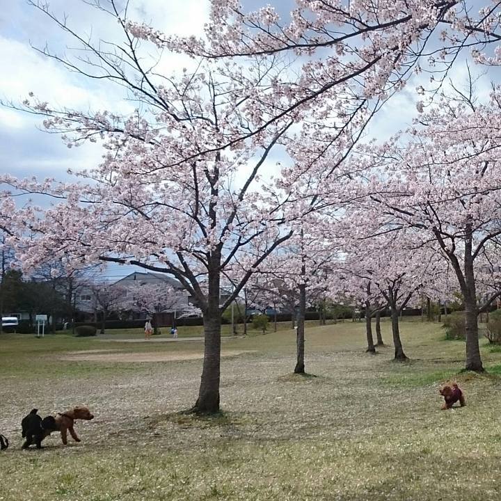 Df98215d bab8 4493 8fde bb99a5d18bd1