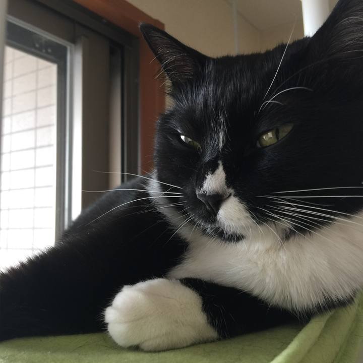 Df98f88f 4dbe 416f 970c 47795fd86ab9