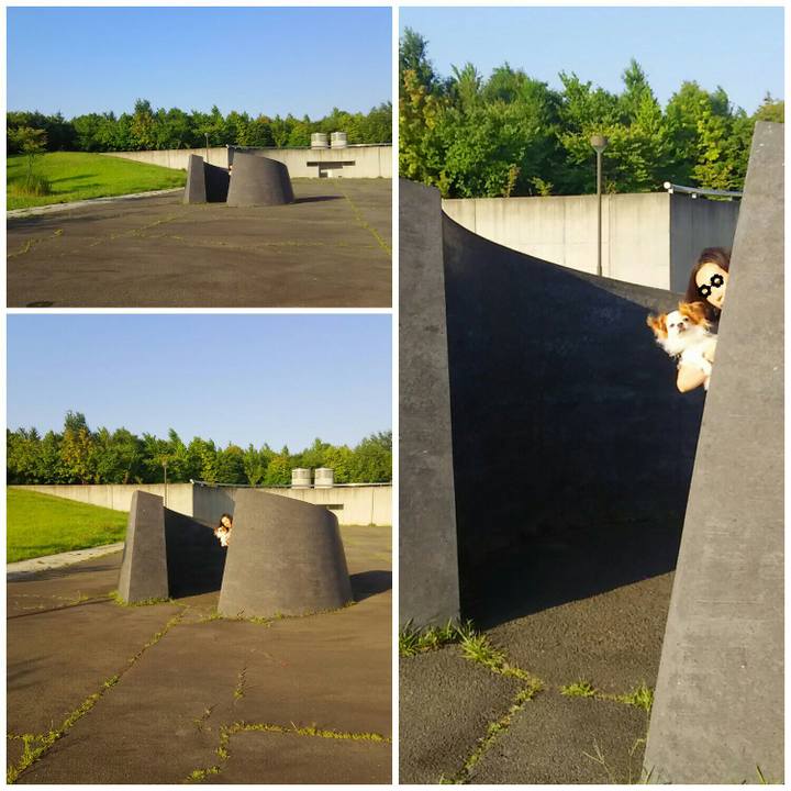 Df99289b d747 40ca a74b c1050fffa1af