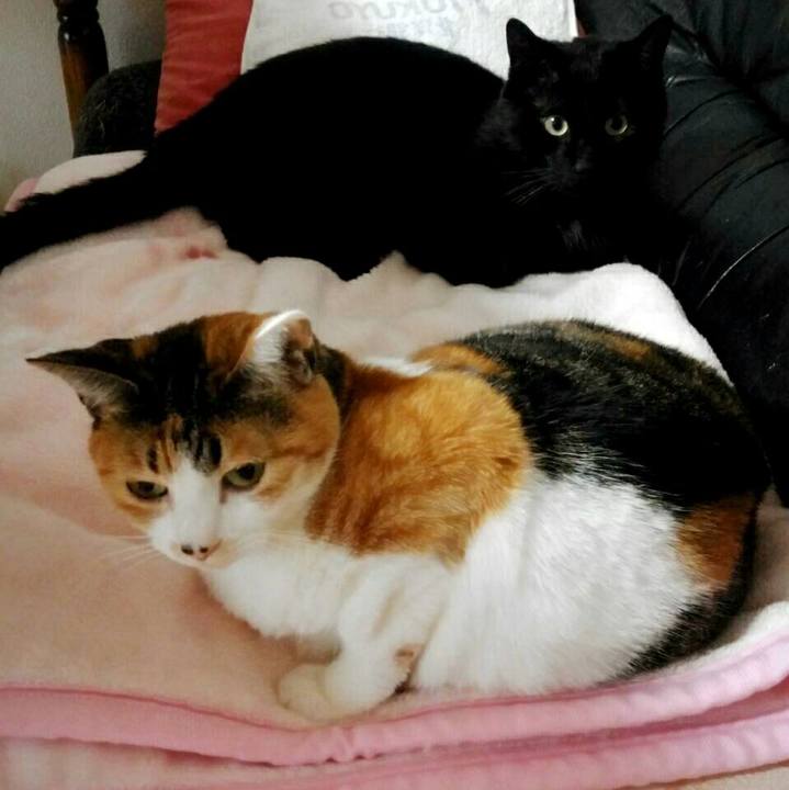 Df99cbd2 5ae0 43b0 98fc e0745e111384