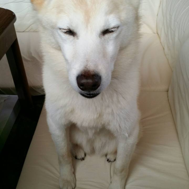 Df99de0e 5084 4896 8c6f 35f8b7978130