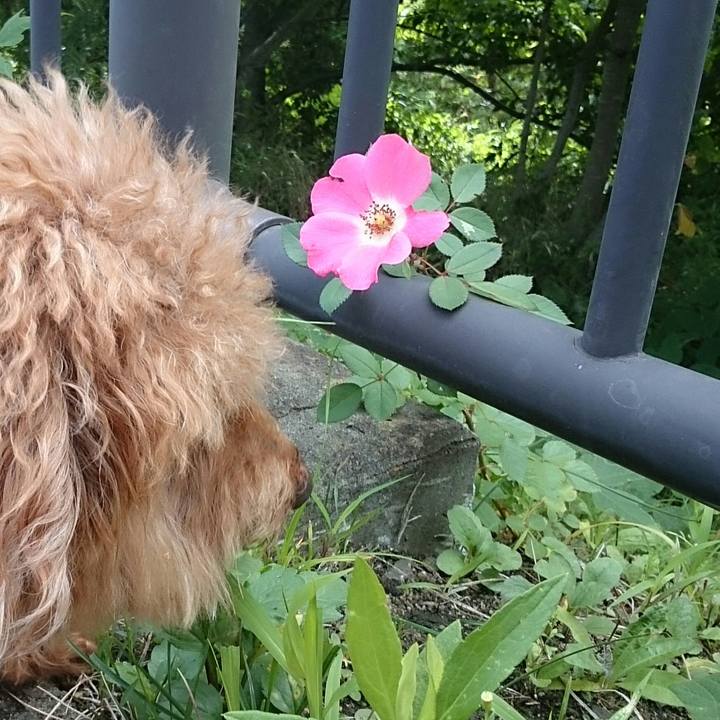 Df9a072b afc3 4c08 8903 51b130d7258a