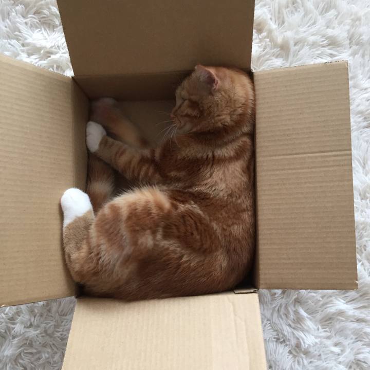 Df9a3d24 faa6 40c3 86e3 dd693a5263cb