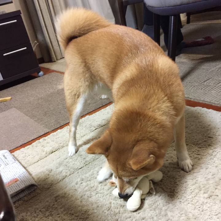 Df9aab6d 32e9 4b64 b2e8 8f5d90ec4075