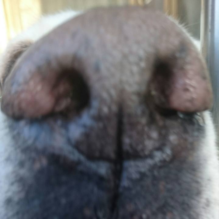 Df9b01d0 6db1 4069 9d43 a17576a63fc4