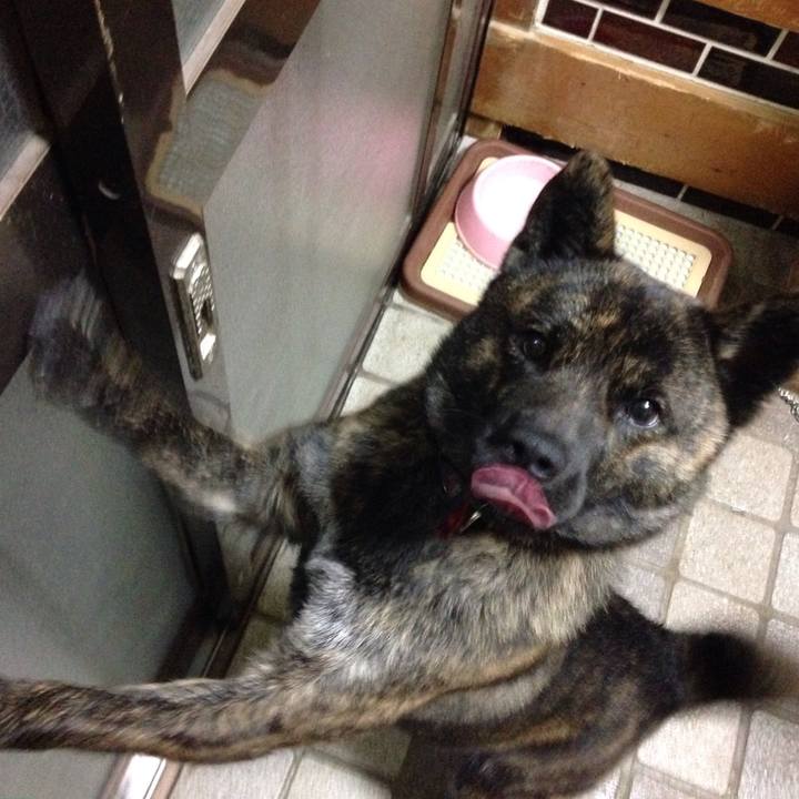 Df9b232b 18f0 4d29 bac7 58860c579789