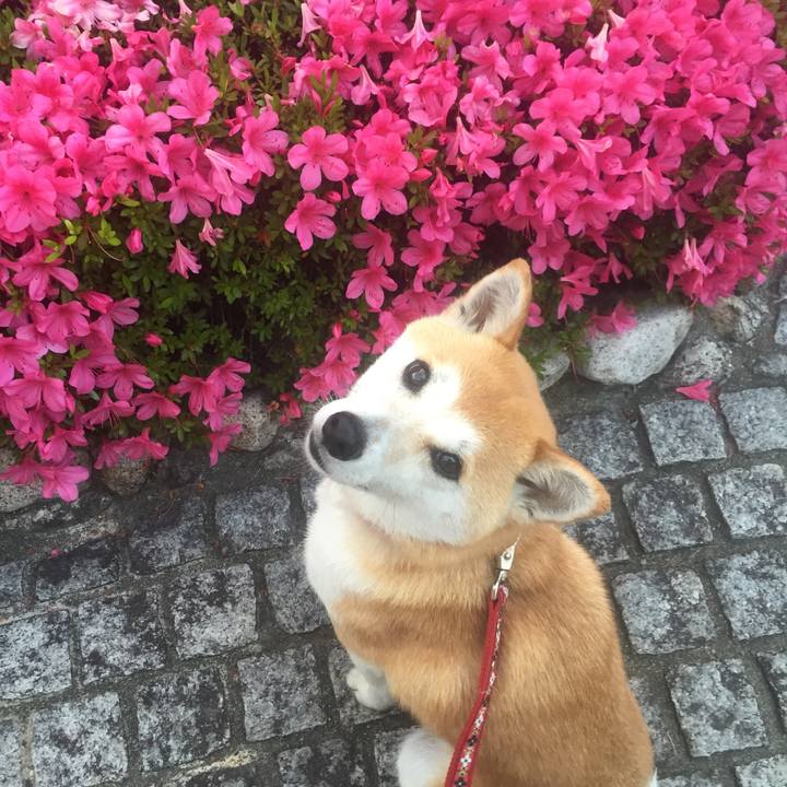 Df9b5a9b f11b 4bf7 8a98 76ecd85bb5f5