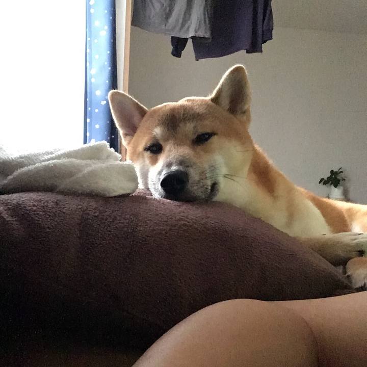 Df9b9dbc a193 41e9 9945 c970daa2f97e