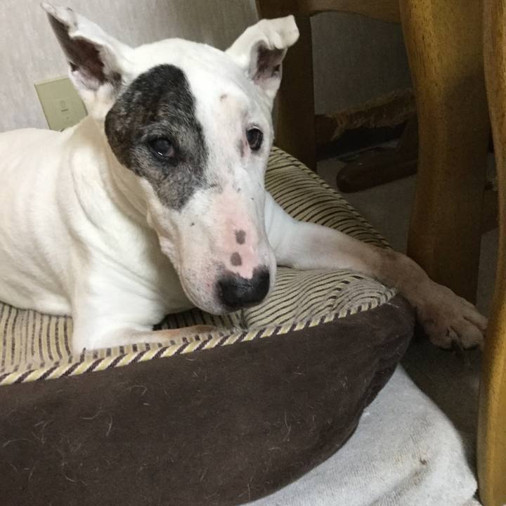 Df9bb367 bf1d 4d5d 9239 2c92f1ee1199