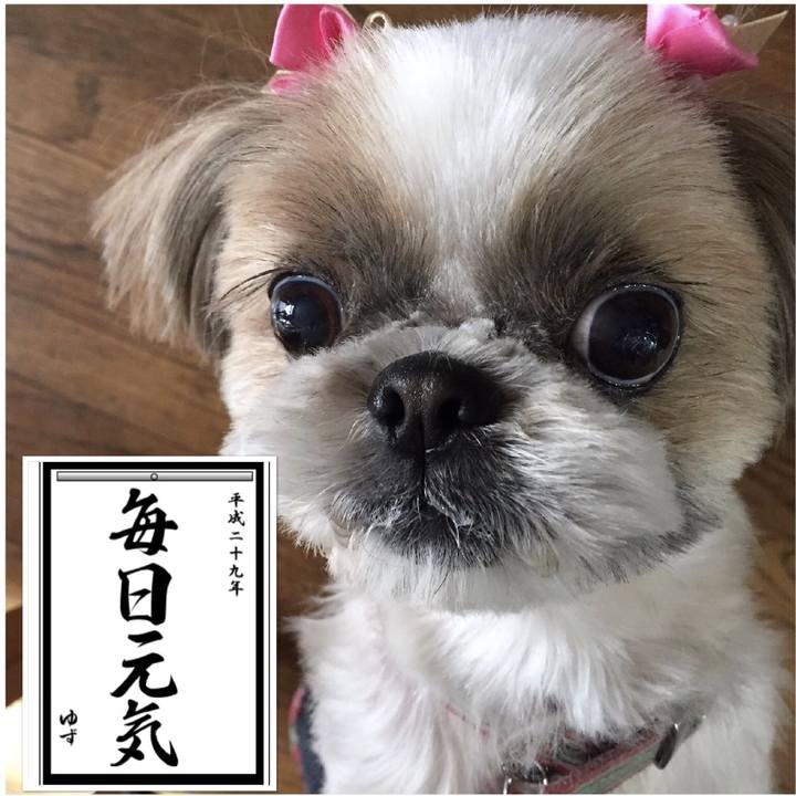 Df9bea3d 07f6 4796 b4a2 9dede7f8efe1