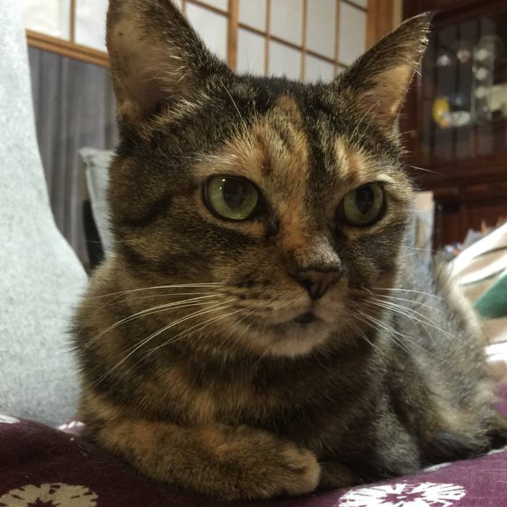 Df9c609f 768c 4adb a6b0 5d8f5757e99f