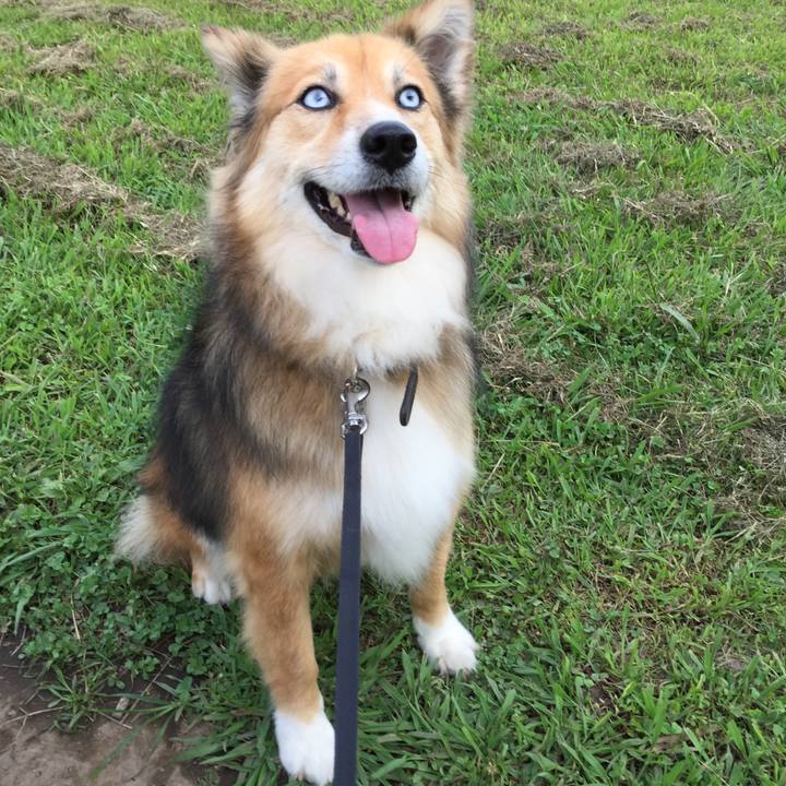 Df9d0852 192f 46cb 8846 f598ba84cd66