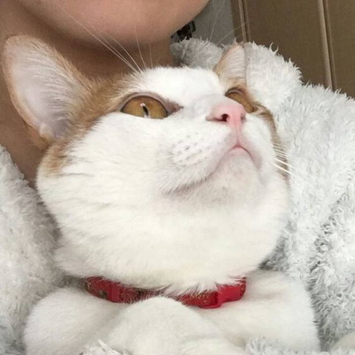 Df9d6e19 0ed5 48b5 9fa4 c35ab04991b3