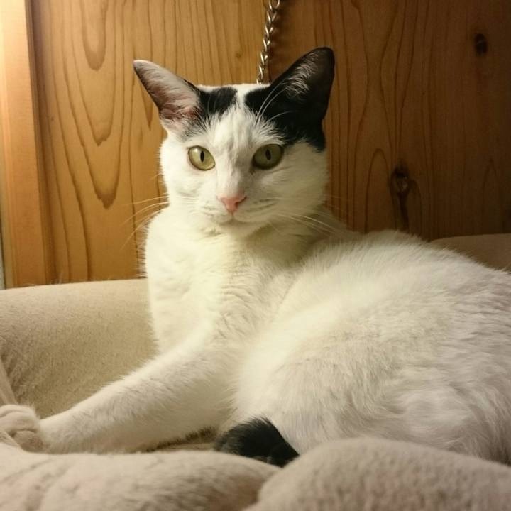 Df9e61d4 d9fa 426f 8fa9 c1cdfcd96787