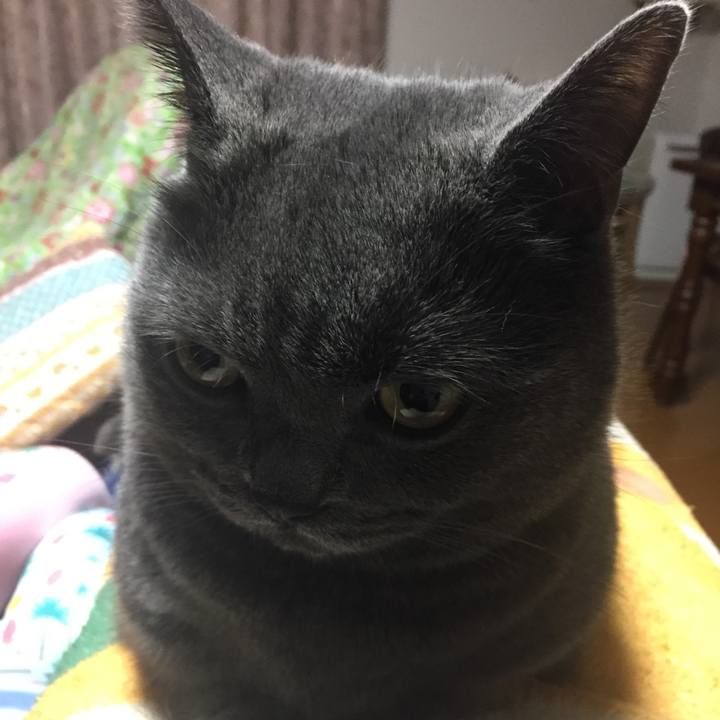 Df9e622f 4ece 441f 85aa 73e0eb51726f