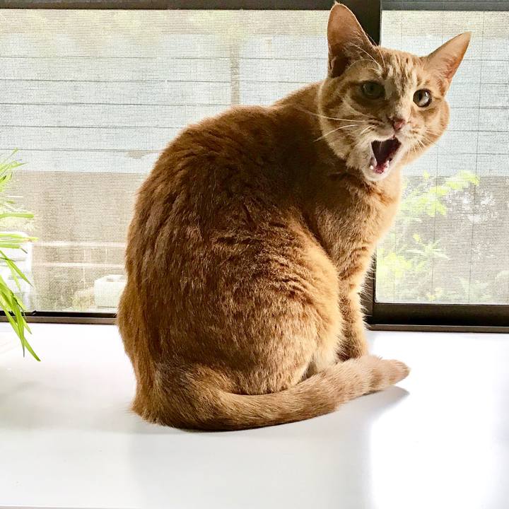 Df9f056b 7d0c 4644 9032 c2a6f801d1dd