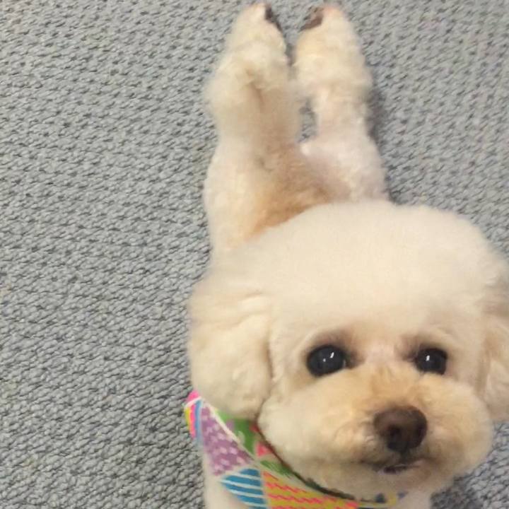 Df9f1fa5 6ec9 4634 92d9 9d5eab248b12