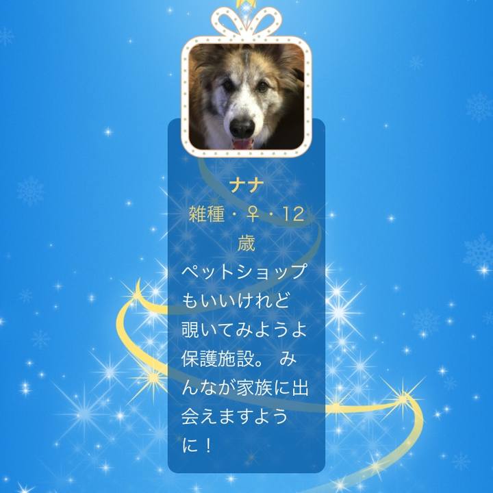 Df9fc6f7 f708 4ff2 bfdc d9783372ac60