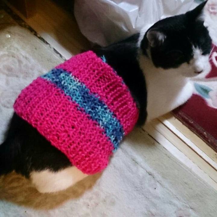 Df9fd055 390b 44ec b73f d07b086b7aa3