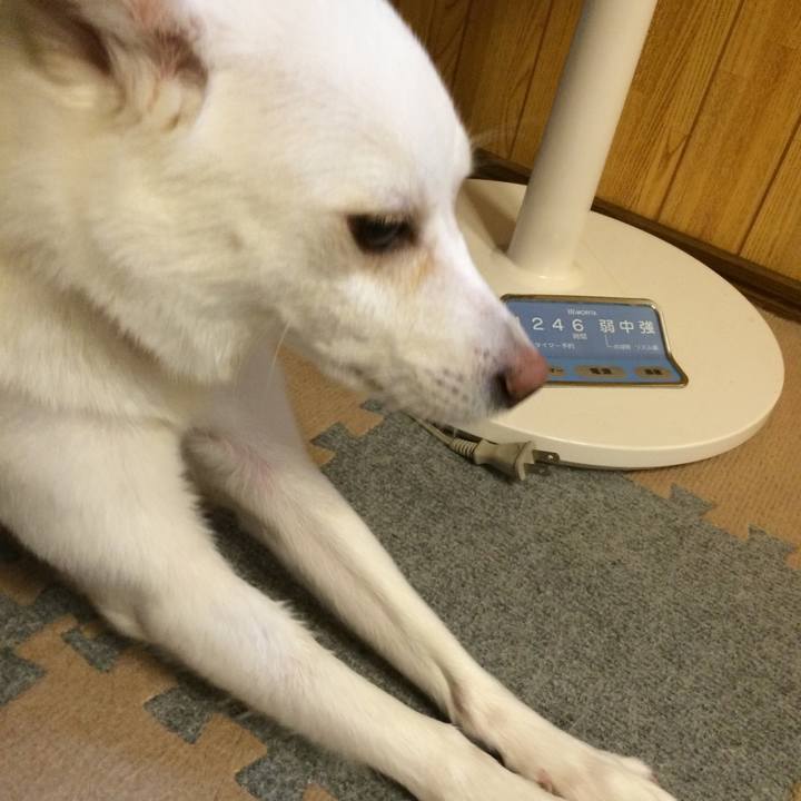 Dfa05e00 2a43 448b b9ae 5b77a00aa927