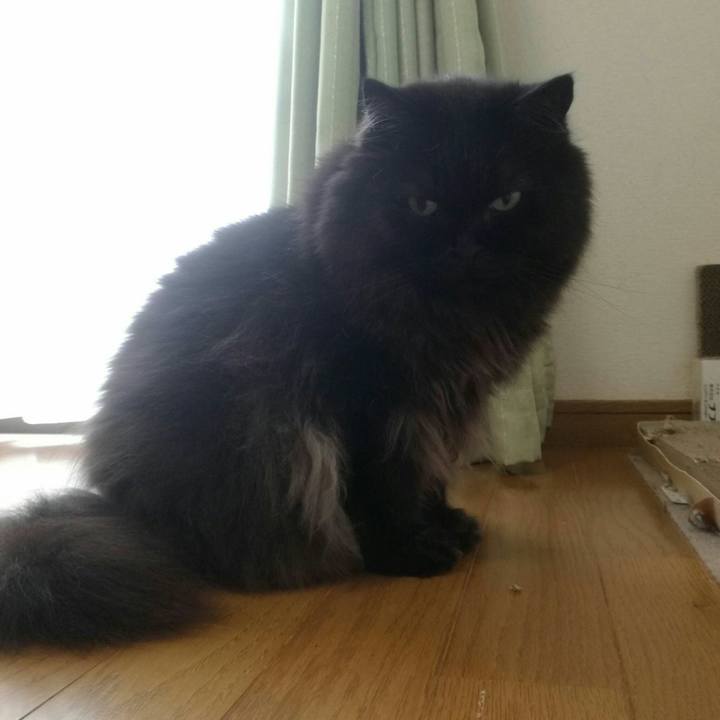 Dfa08540 e268 4151 8859 beab55238caf