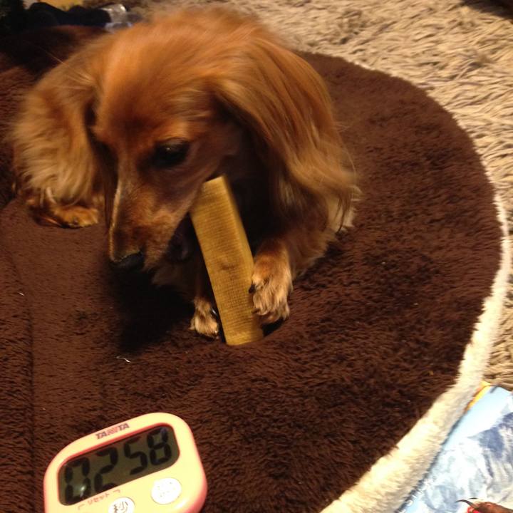 Dfa088e6 e7d3 4e1a 82e8 d36e604a865e