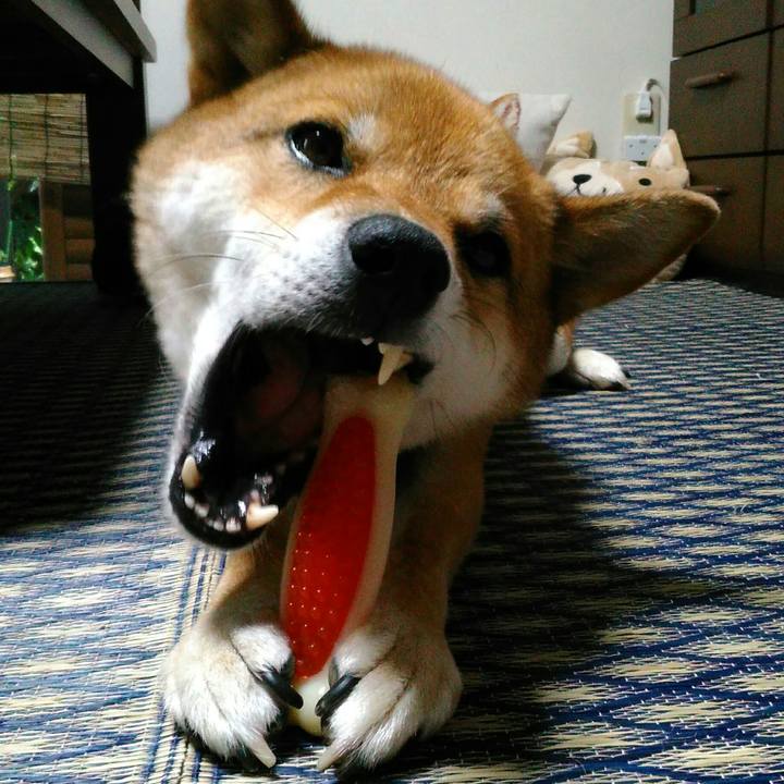 Dfa0dc9a d997 4309 b1ac f24c2e57608e