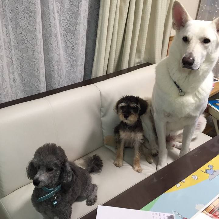 Dfa155a2 f829 4a5a abf9 409a13ae9e45