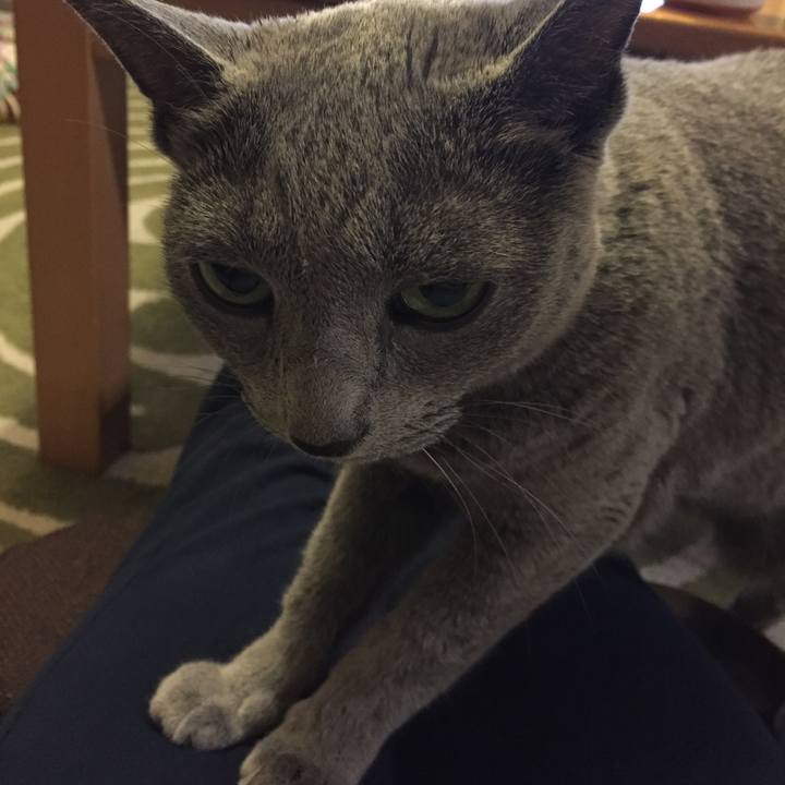 Dfa262c9 4a9e 4d49 8e09 0ffff77b5a50