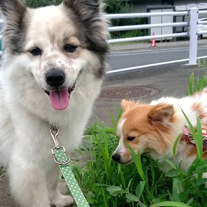 Dfa2652d 3438 42b4 a7cf 56887c9fc366