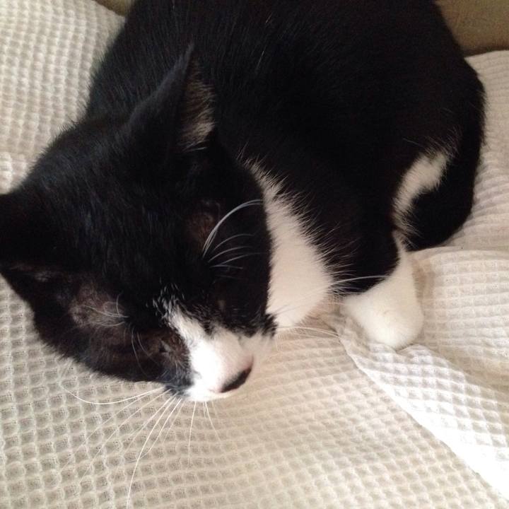 Dfa34328 a54d 4539 b583 97f25d444b73