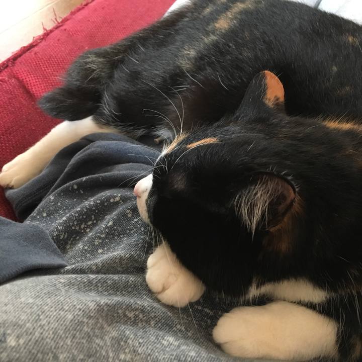 Dfa39838 9a5f 4f87 b7a1 c207265fb962